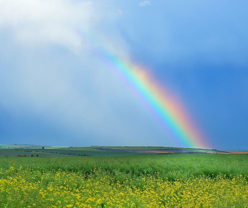 Prairie Rainbow.png